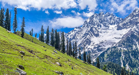 Kashmir Trip